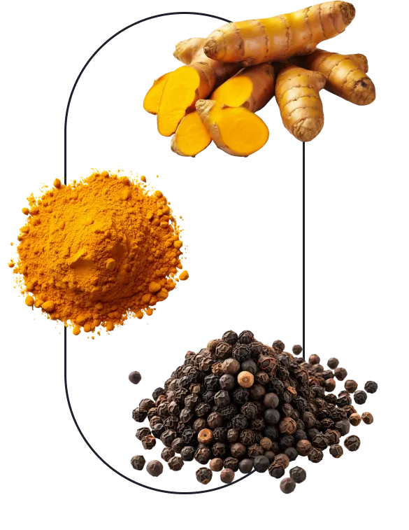 EcoWise Wellness