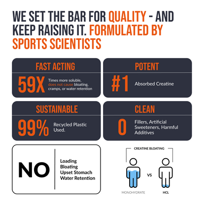 EcoWise Creatine HCl Gummies.