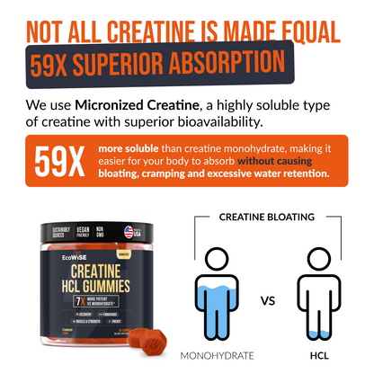 EcoWise Creatine HCl Gummies.