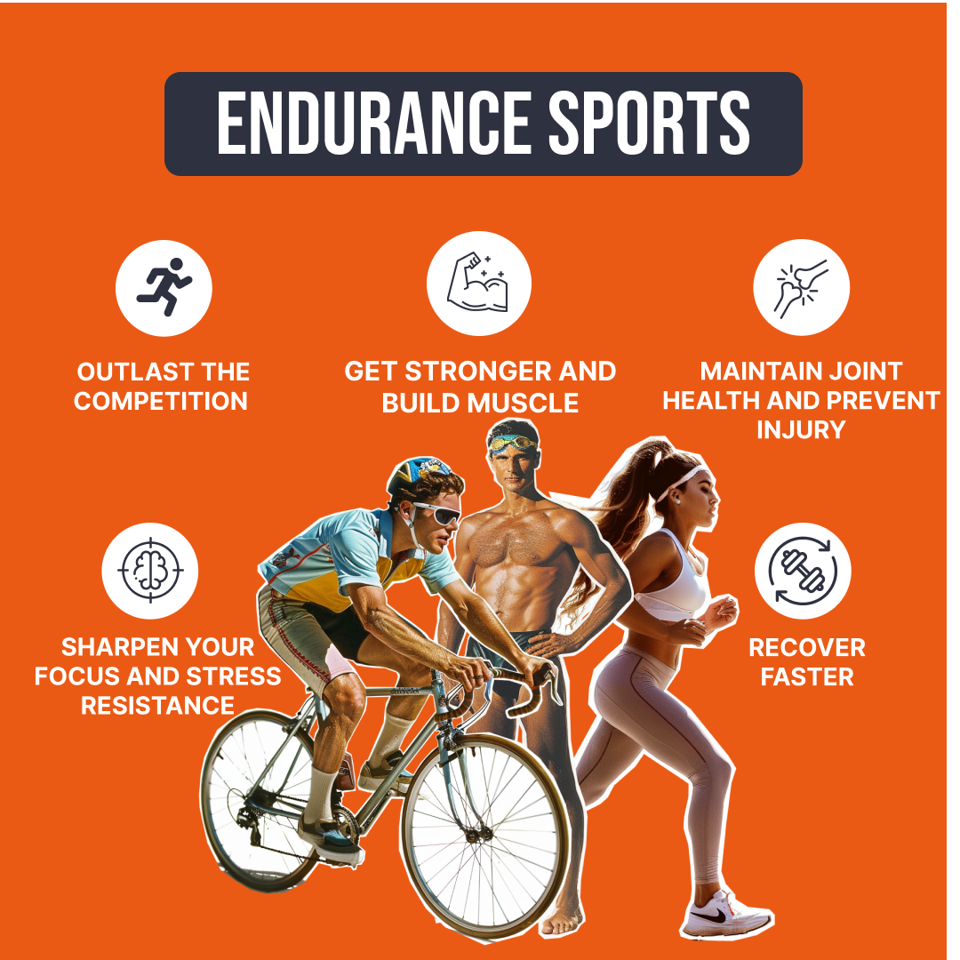 EcoWise Creatine HCl Gummies.